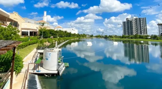 Yucatán-Ameba comecerebros en Mérida no implica riesgo en todos los cuerpos de agua: especialista (La Jornada)