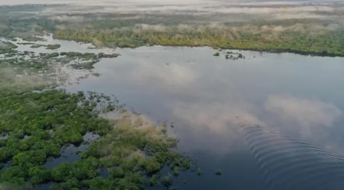 Internacional – En la Amazonia está el 15% de todas las especies conocidas de peces de agua dulce del mundo (La Jornada)