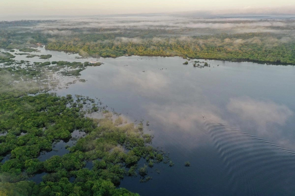 Internacional – En la Amazonia está el 15% de todas las especies conocidas de peces de agua dulce del mundo (La Jornada)