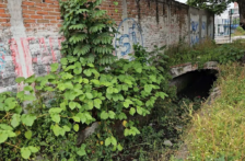 Morelos – Atarjea de Cuautla: de canal de riego a desfogue de agua pluvial (El Sol de Cuautla)