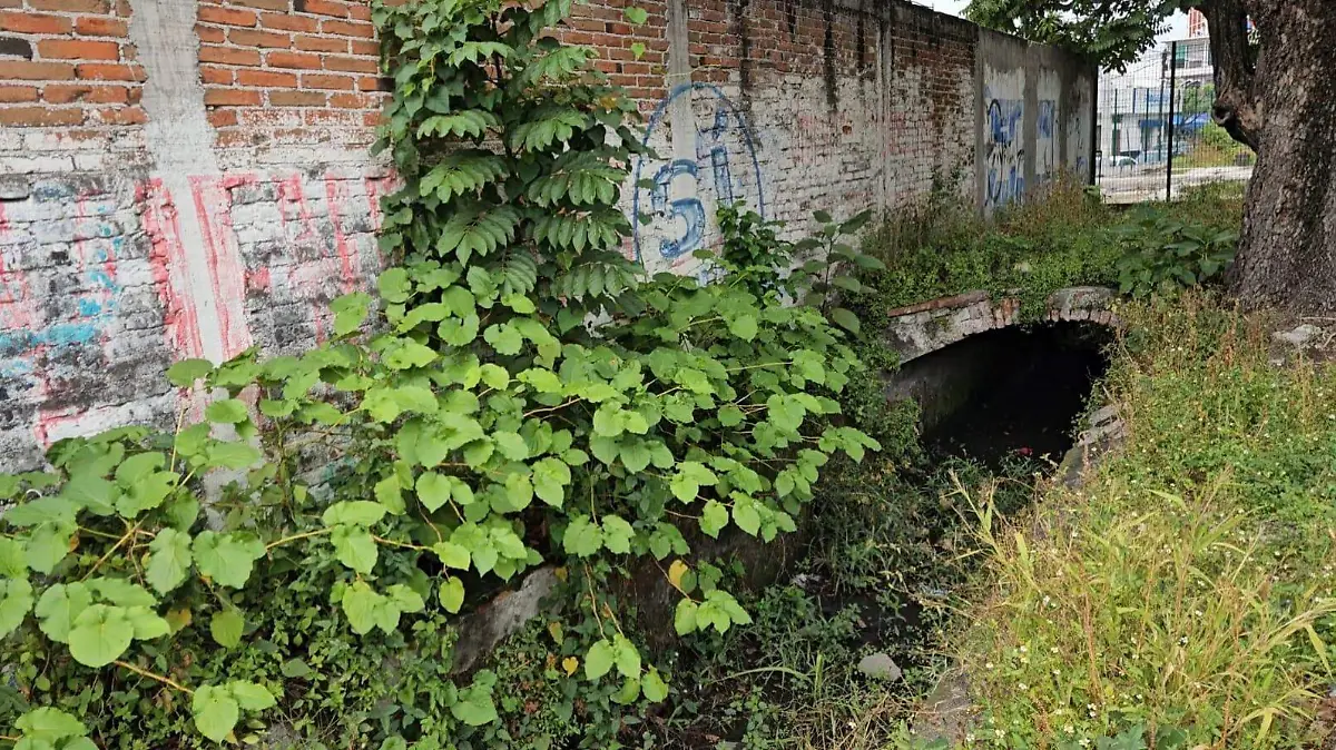 Morelos – Atarjea de Cuautla: de canal de riego a desfogue de agua pluvial (El Sol de Cuautla)