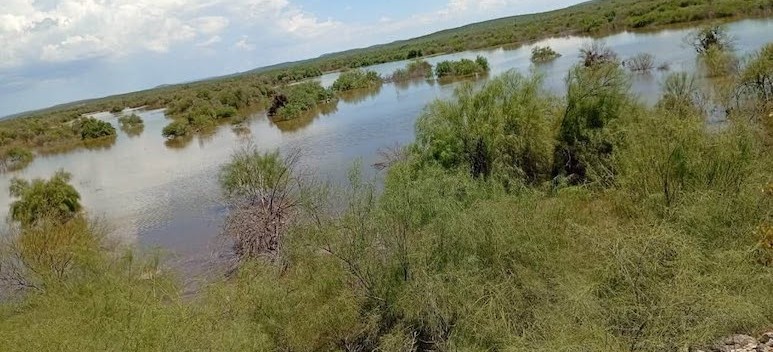 Baja California Sur – Presas de BCS en niveles bajos a pesar de las lluvias frecuentes (Palabra BCS)