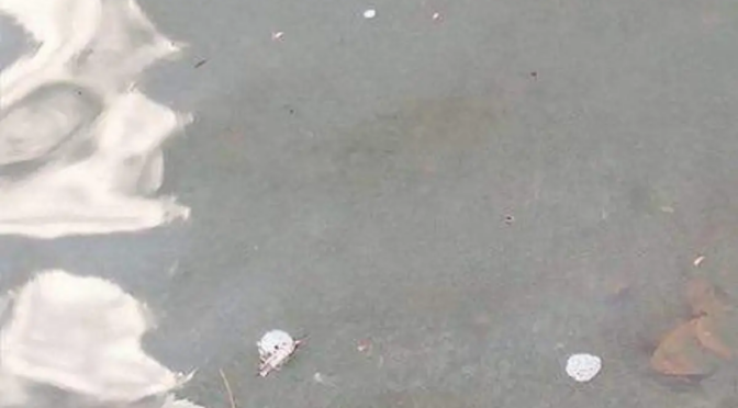 San Luis Potosí – Denuncian posible contaminación en el río Tazaquil; piden investigar descargas (El Sol de San Luis)
