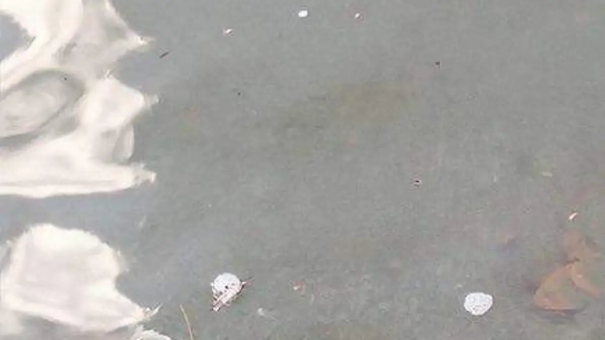 San Luis Potosí – Denuncian posible contaminación en el río Tazaquil; piden investigar descargas (El Sol de San Luis)