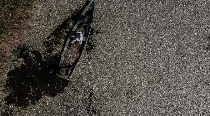 Baja California – Realizarán muestreo de agua tras hallazgo de peces muertos en Laguna México en Mexicali (La Voz de la Frontera)