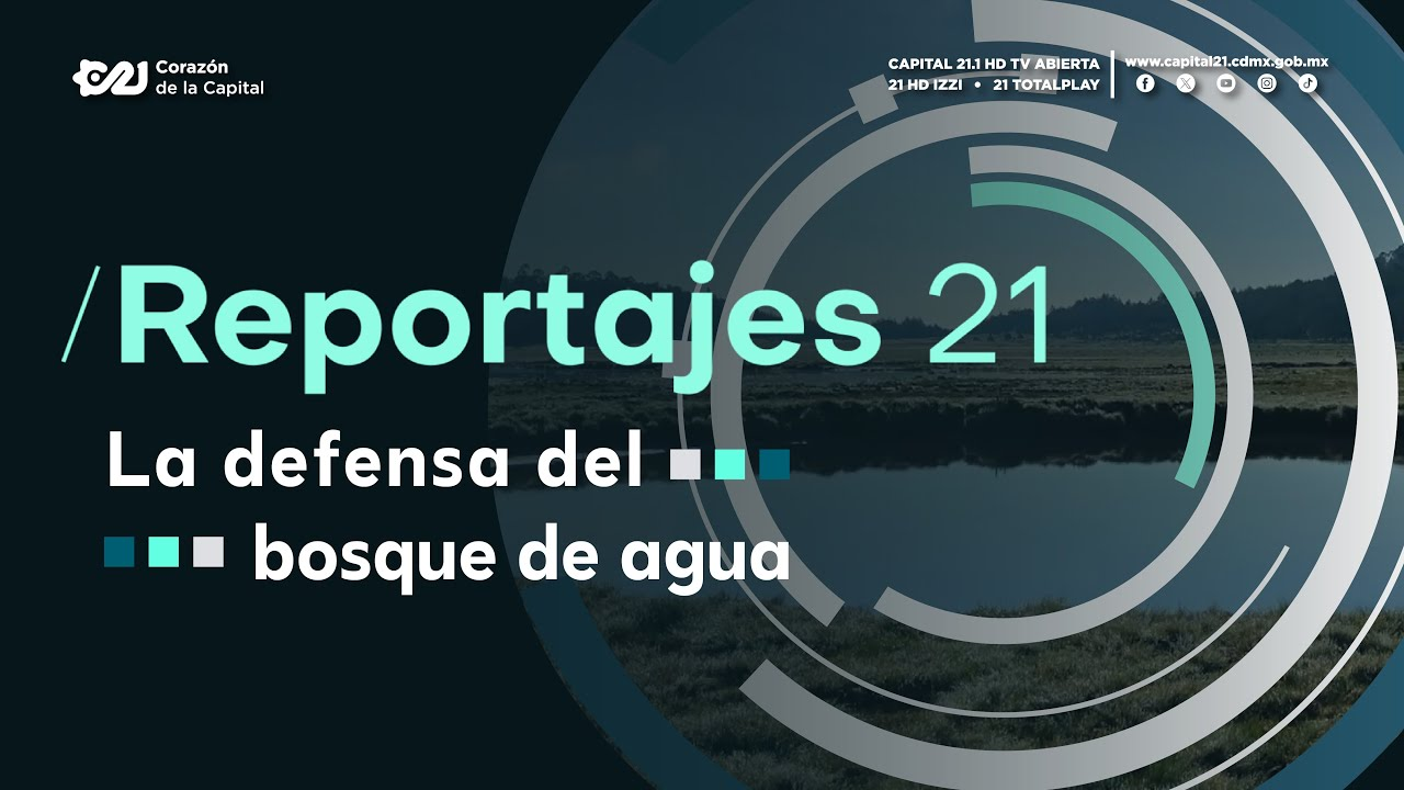 Vídeo: La Defensa Del Bosque De Agua | Gran Estreno Reportajes 21 (Capital 21)