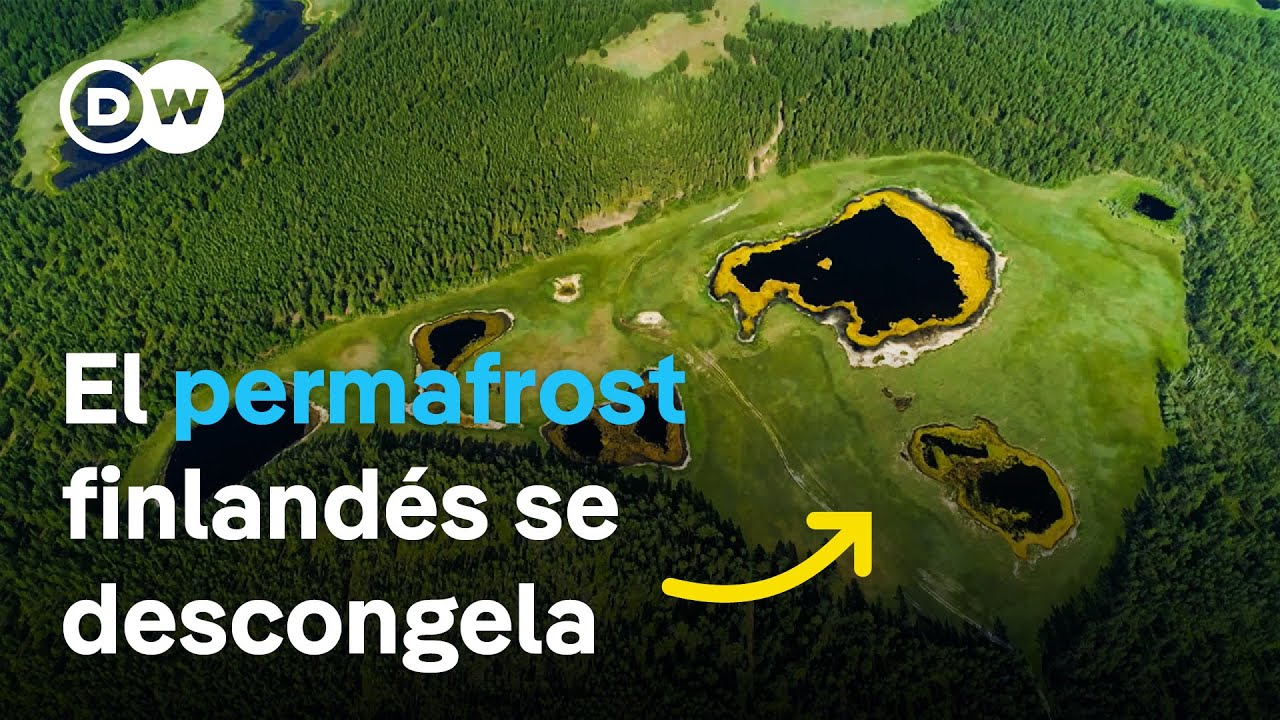 Vídeo: Pantanos que se derriten – ¿Cómo puede la naturaleza frenar el cambio climático? (DW Documental)