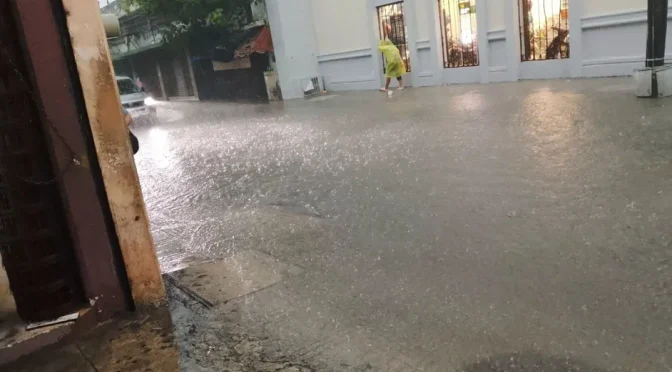 Yucatán – Mérida bajo el agua: tormenta deja calles inundadas, árboles caídos y caos vial (Milenio)