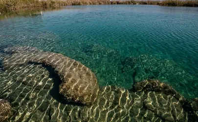 Coahuila – La lucha lagunera abre vía para defender el agua (La Jornada)