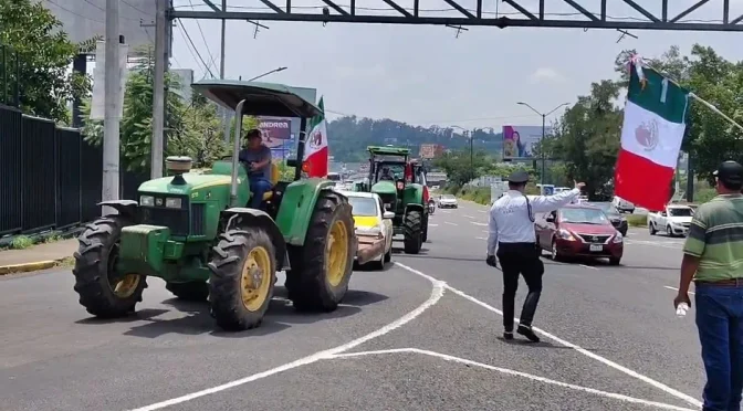 Jalisco – Productores de maíz reclaman por precios justos y consulta en temas de agua en Jalisco (Milenio)