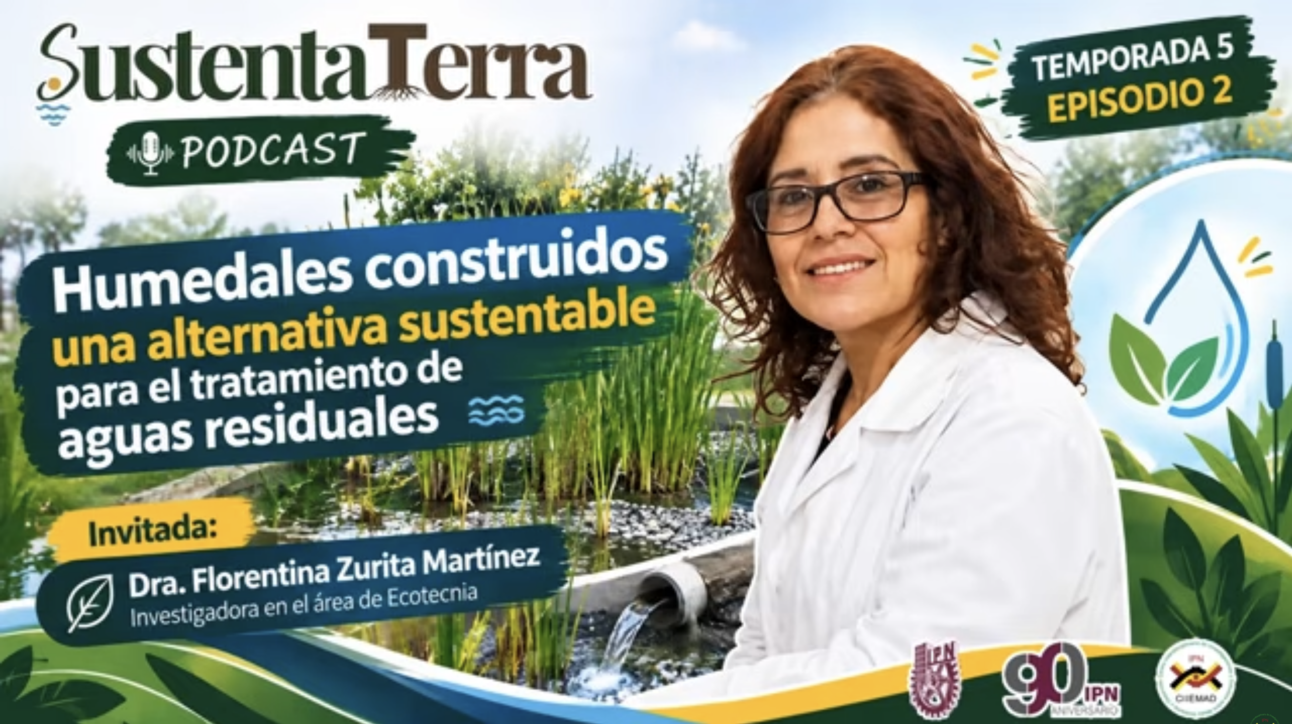 Video: Humedales construidos, una alternativa sustentable para el tratamiento de aguas residuales