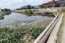 Guadalajara – La contaminación de la presa de Las Pintas, la causa del mal olor y color del agua (El Occidental)