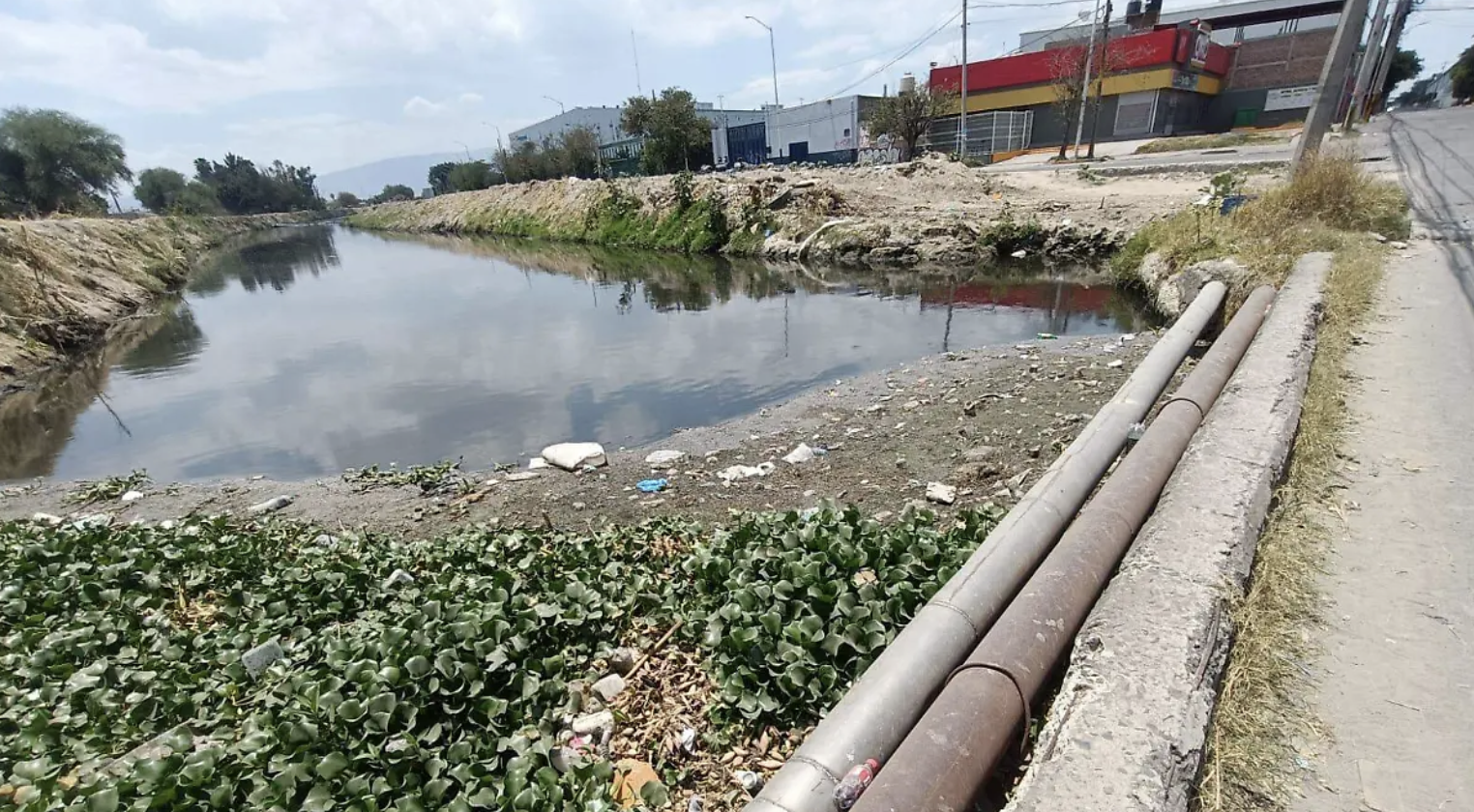 Guadalajara – La contaminación de la presa de Las Pintas, la causa del mal olor y color del agua (El Occidental)