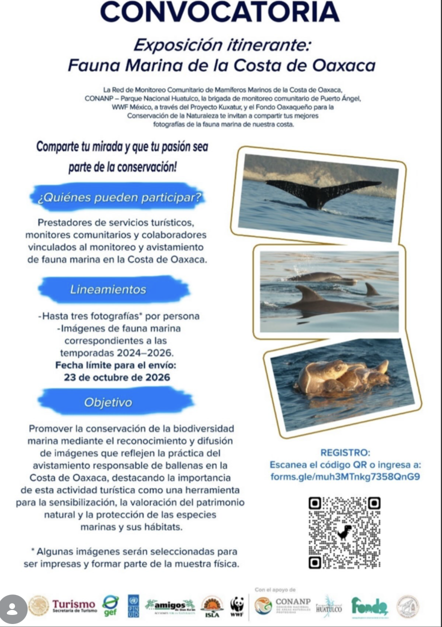 Convocatoria – Exposición itinerante: Fauna Marina de la Costa de Oaxaca (Brigada de Monitoreo Comunitario de Puerto Ángel)