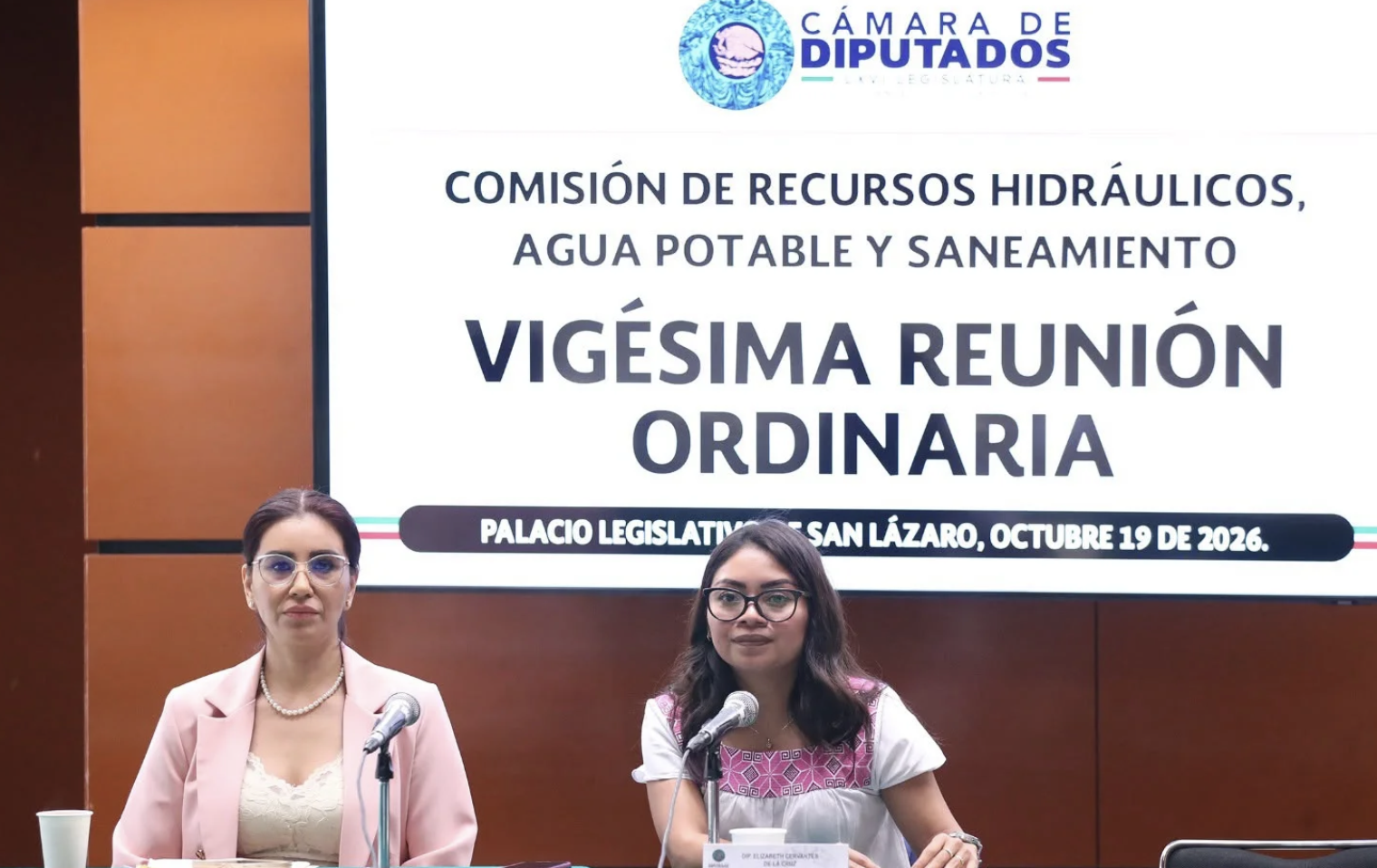 Ciudad de México – Comisión aprobó su opinión al PPEF 2027 para el sector hídrico (El Pulso MX)