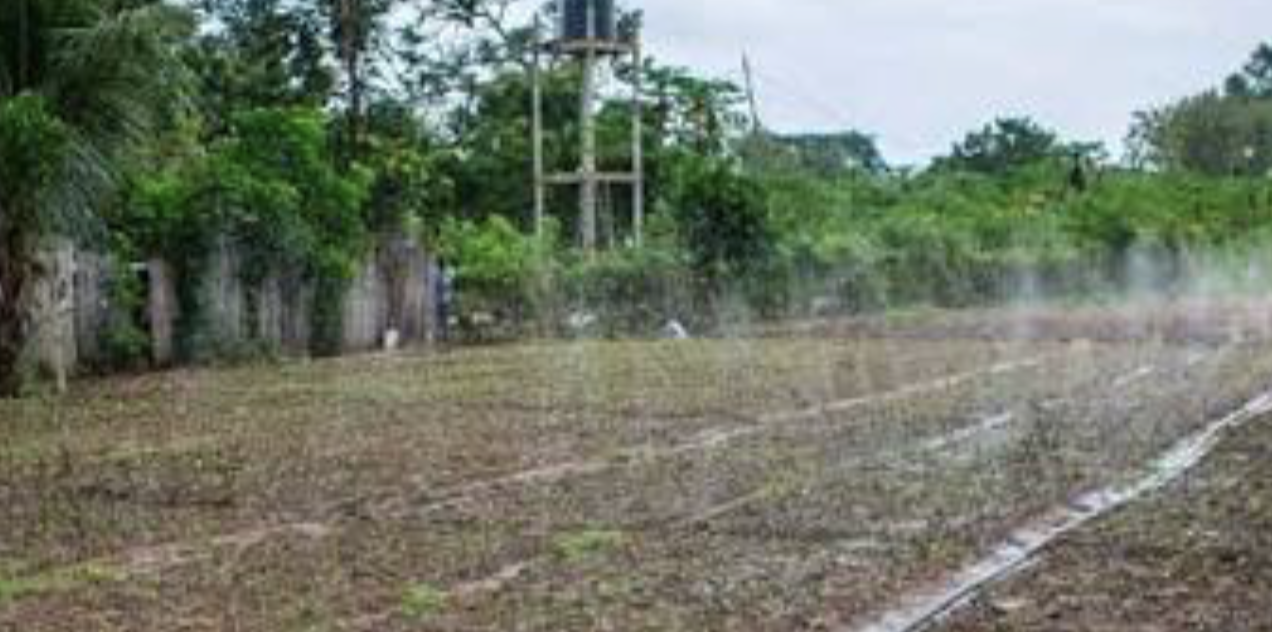 Internacional – El Banco Africano de Desarrollo impulsa la financiación sostenible para los recursos hídricos compartidos a medida que aumentan los riesgos climáticos (Africa Sustainability Matters)