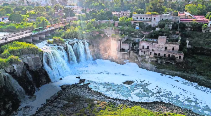 Yucatán – Detectan residuos de heces porcinas en pozos y cenotes de Yucatán (La Jornada)