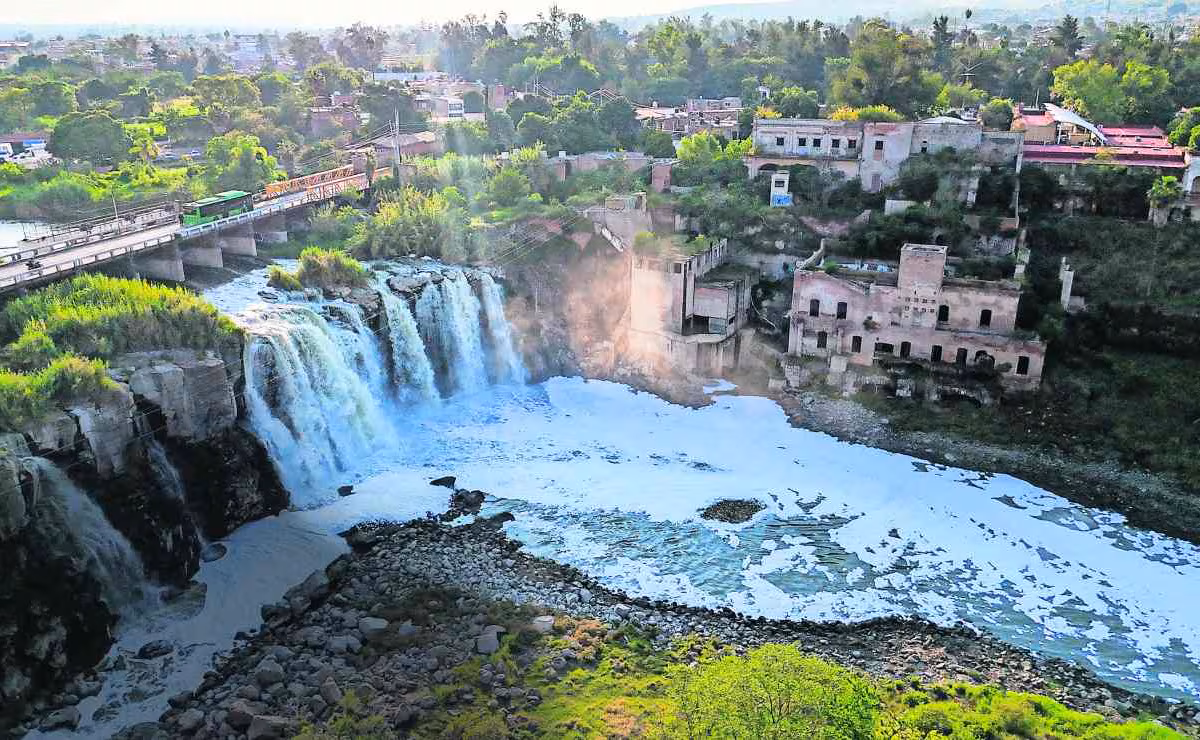 Yucatán – Detectan residuos de heces porcinas en pozos y cenotes de Yucatán (La Jornada)