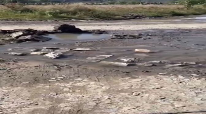 Puebla – Reportan desperdicio de agua en Coyotepec, Tlaxcalancingo (e-consulta.com)