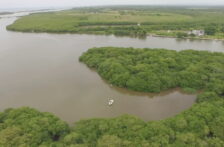 Veracruz – Investigadores recuperan el humedal de agua dulce de La Mancha (Más Noticias)