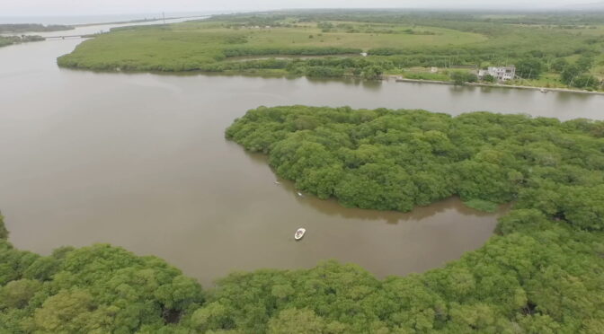 Veracruz – Investigadores recuperan el humedal de agua dulce de La Mancha (Más Noticias)