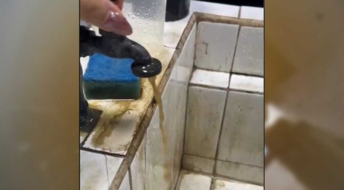 Jalisco – Reportan agua con metales, bacterias fecales y sin cloro Guadalajara (Telediario México)