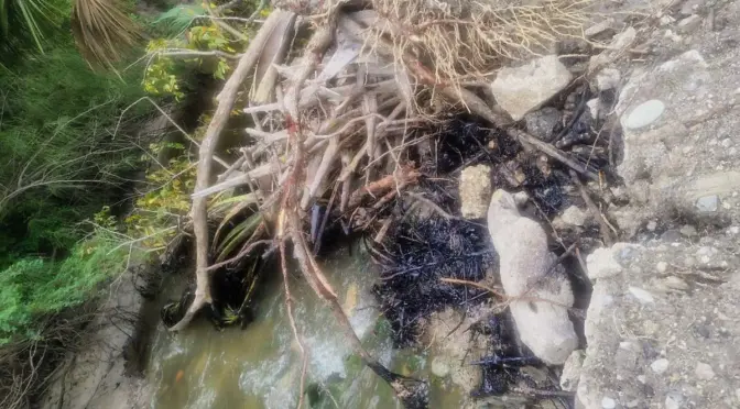 Tamaulipas – Hidrocarburo llega a un arroyo de agua dulce en Altamira: hasta 500 personas podrían resultar afectadas (El Sol de Tampico)
