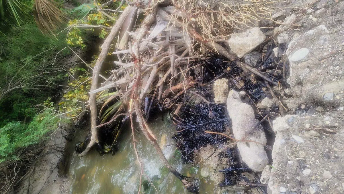 Tamaulipas – Hidrocarburo llega a un arroyo de agua dulce en Altamira: hasta 500 personas podrían resultar afectadas (El Sol de Tampico)