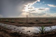 México – Alerta por El Niño 2026-2027: Los estados de México que enfrentarán la peor sequía y falta de agua según el BID (Infobae)
