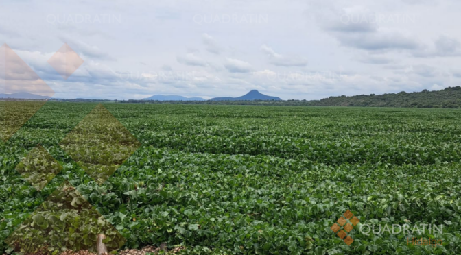 Hidalgo – Conagua informa ajuste en los tiempos de arribo de maquinaria para la presa Endhó (Quadratín Hidalgo)