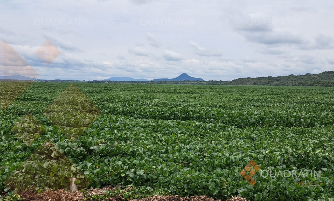 Hidalgo – Conagua informa ajuste en los tiempos de arribo de maquinaria para la presa Endhó (Quadratín Hidalgo)