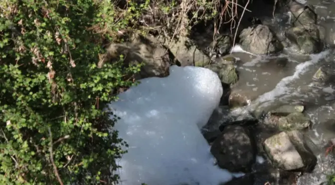 Tlaxcala-Atoyac, uno de los ríos más contaminados del país: Conagua apuesta a sanearlo al 2030 (Milenio)